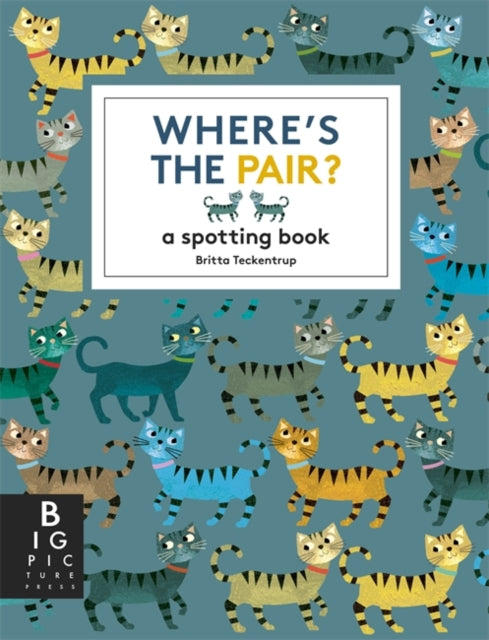 Where's the Pair? : A Spotting Book