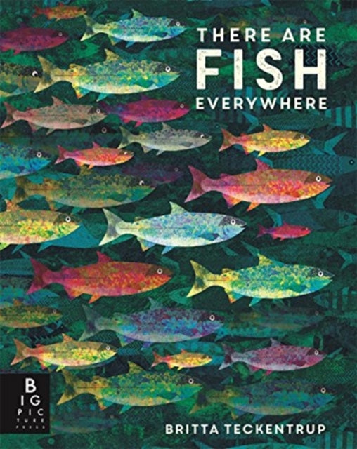 there are fish everywhere non fiction  paperback by Britta Teckentrup