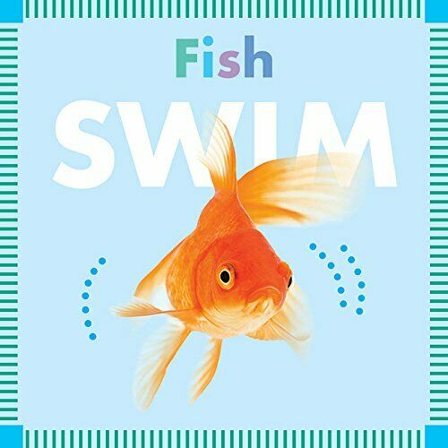Fish Swim board book